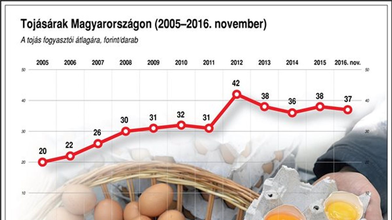 Tojásellátásban növelni kell a magyar arányt