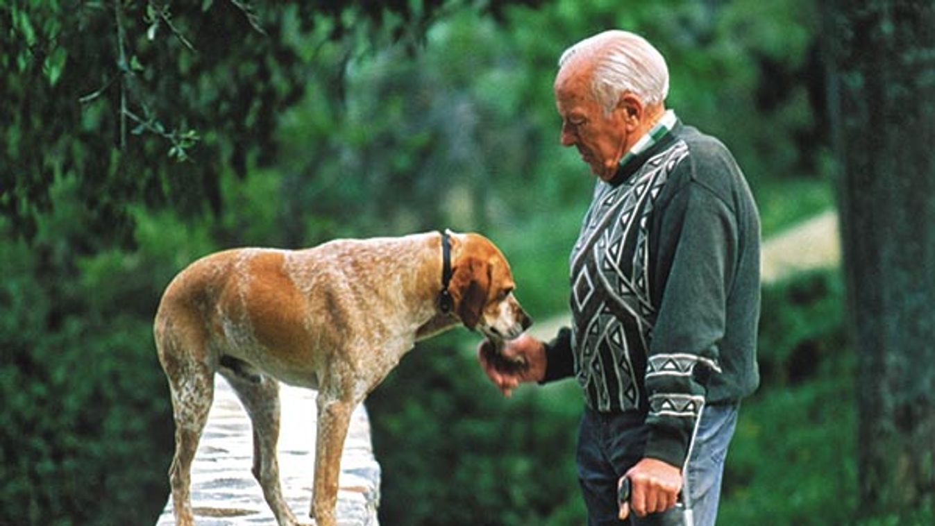 Side profile of senior man feeding dog, Corsica, France