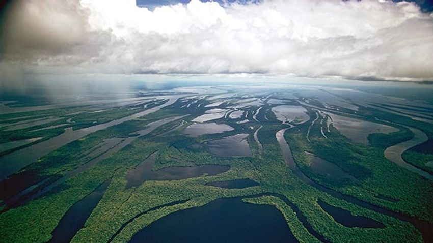 Aerial of Arquipélago das Anavilhanas on the Río Negro, in Brazil, close to the Amazon River.