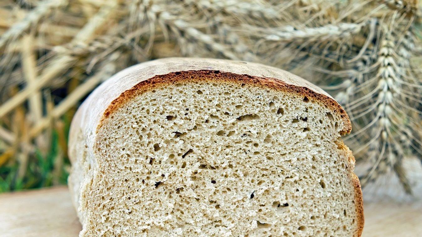 Egyre népszerűbb az otthoni kenyérsütés