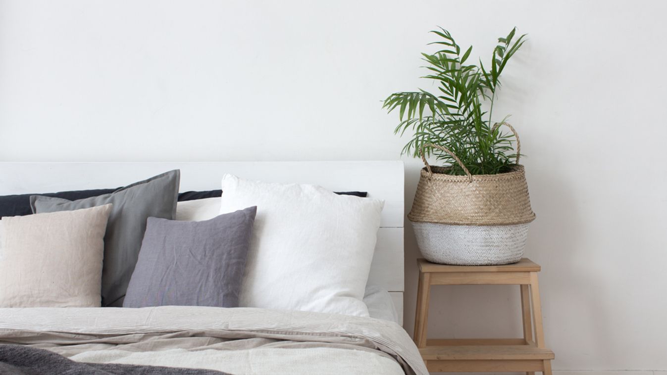 Bedroom,Interior,Bed,And,Bedside,Table,With,Plant