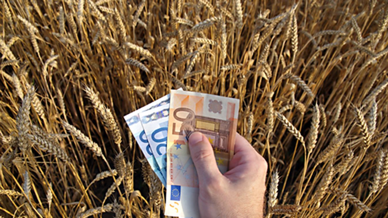 November óta 224 milliárddal dagadt a magyar gazdák pénztárcája
