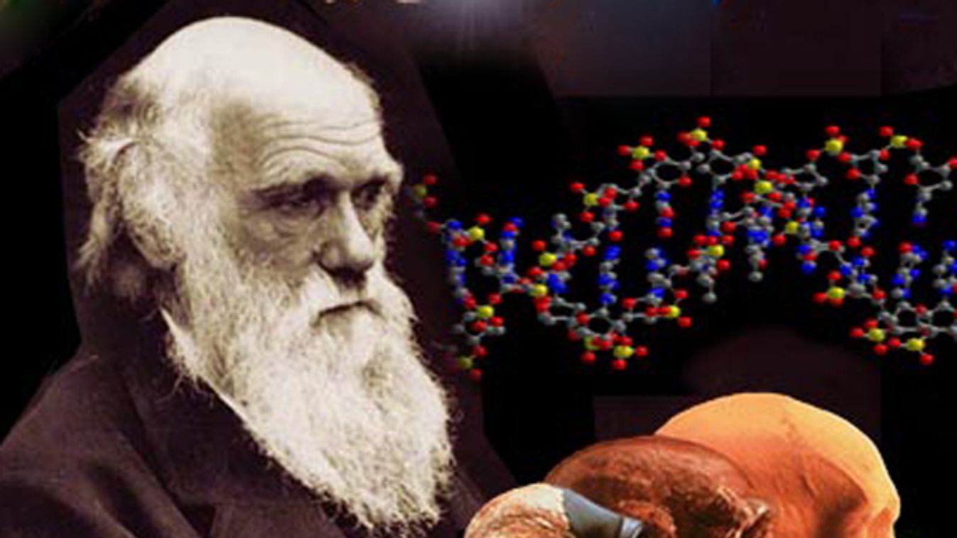 Darwin és a világhír