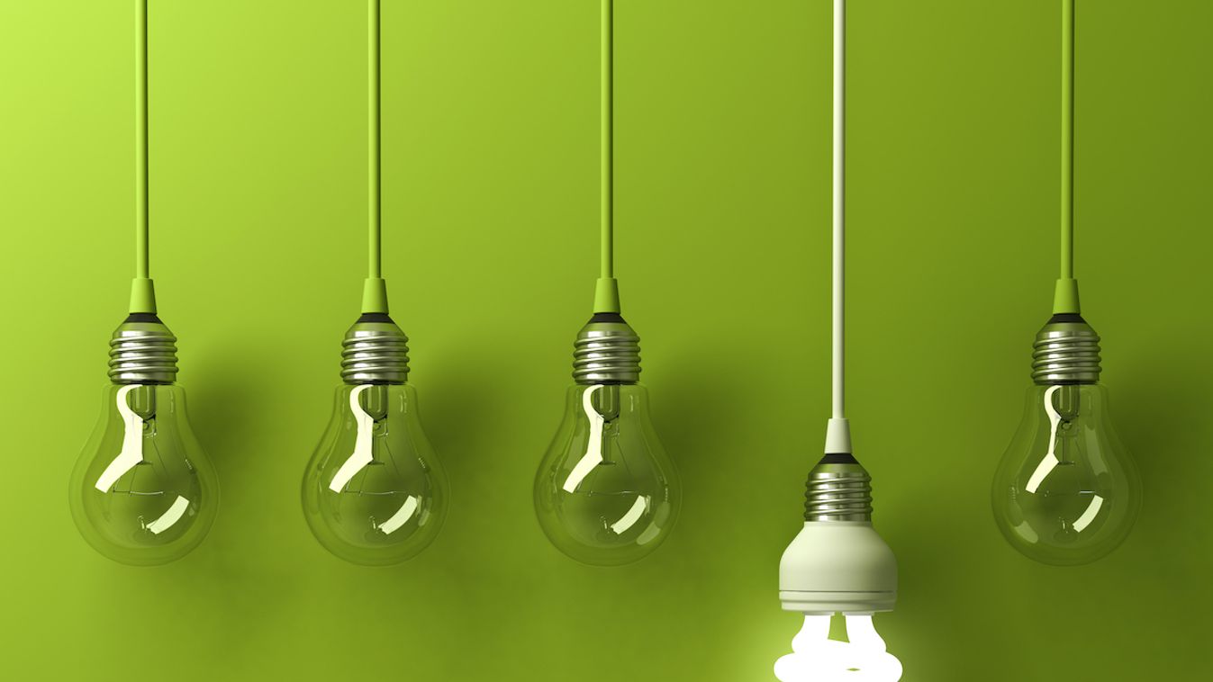 One hanging energy saving light bulb glowing different standing out from unlit incandescent bulbs with reflection on green background, leadership and different creative idea concept