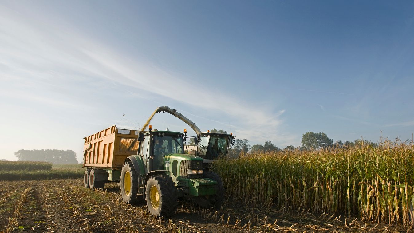 corn harvest with tractor, trailer and combine 