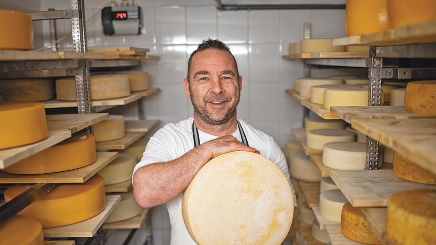 A sajtok titka, avagy ilyen a sikeres pályamódosítás