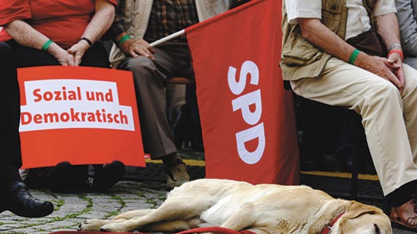 A dog sleeps during an election campaign rally of the Social Democratic Party (SPD) in Bochum