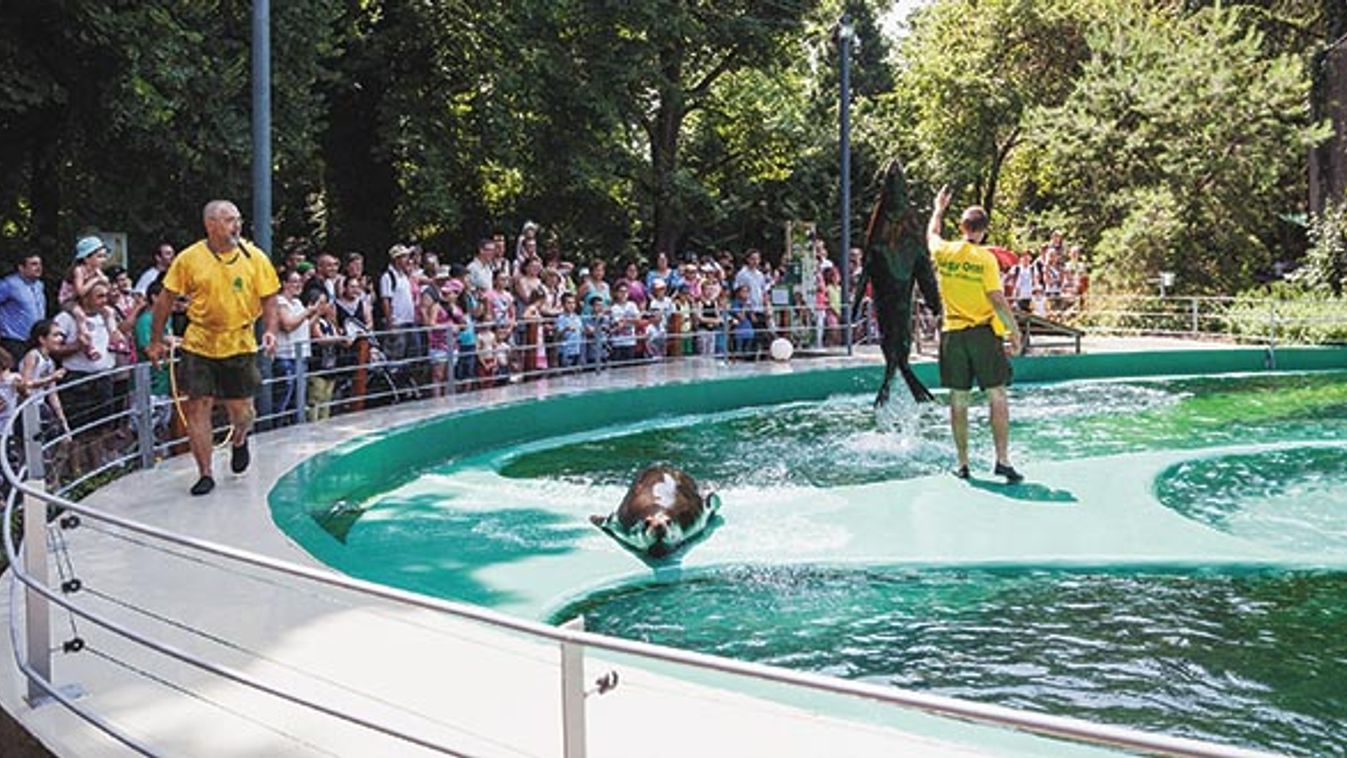 Ez a béke szigete - Százötvenedik születésnapját ünnepli hamarosan a budapesti állatkert