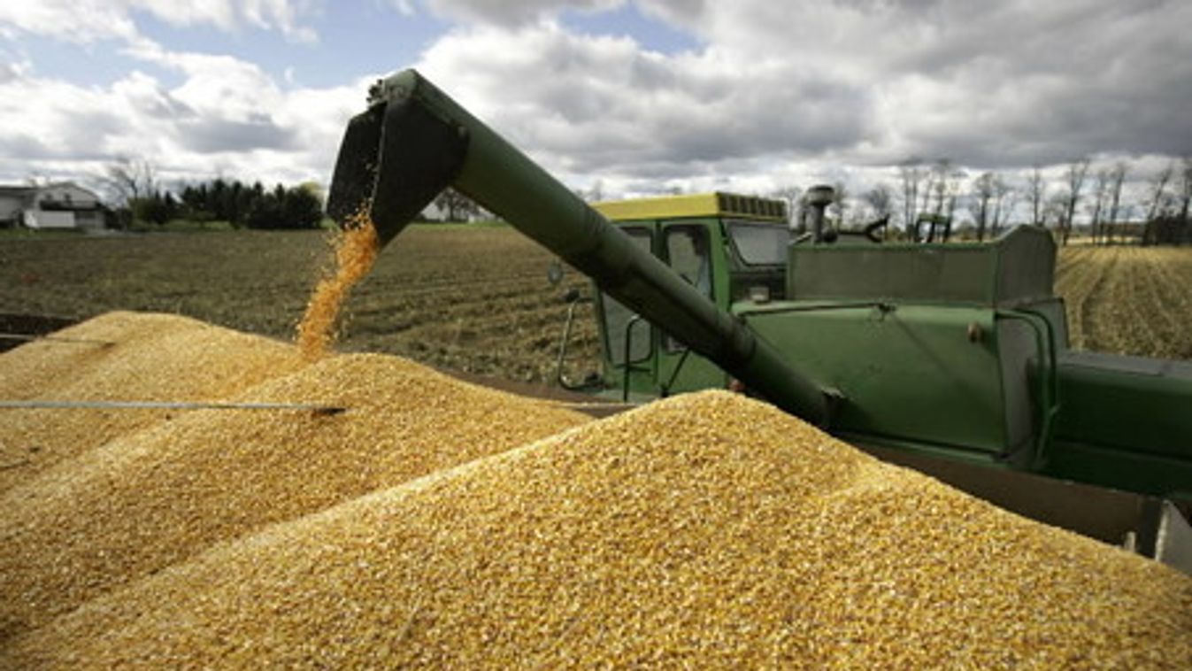 Unió: kevesebb kukorica a vártnál