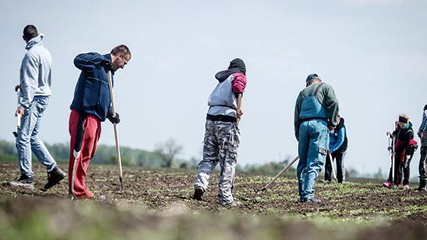 Október végéig kell leadni a napszámos terveket