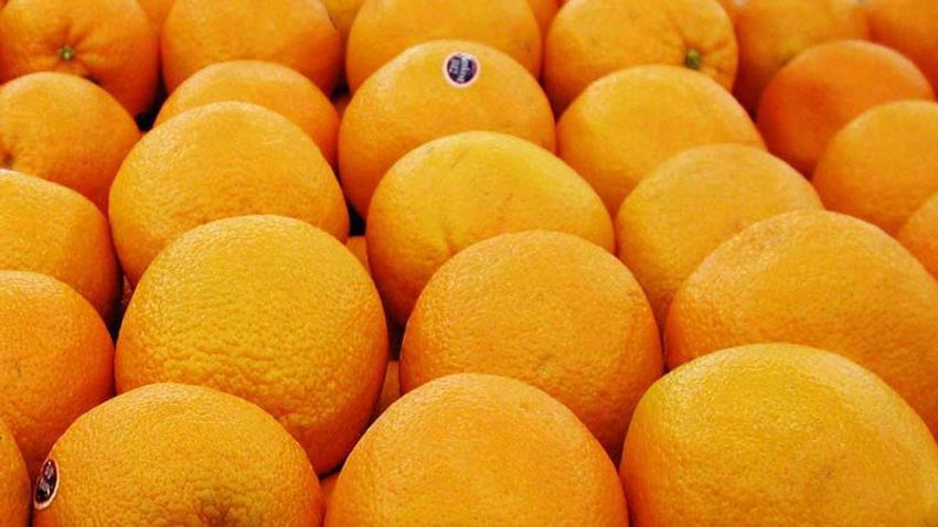 Kiderült: mérgez, vagy nem mérgez a narancs?