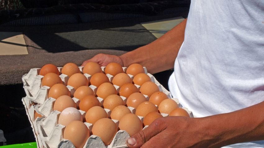 Mi lesz az itthoni tojással?