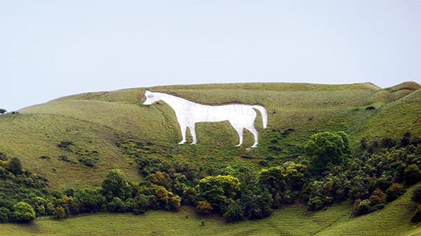 Veszélyben a fehér ló