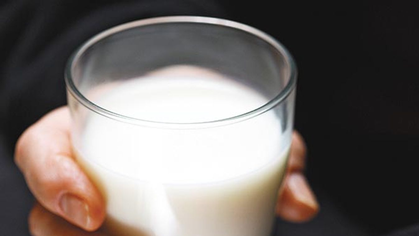 Néha jobb tej nélkül - Tejallergia és tejcukor-érzékenység: nem ugyanaz!