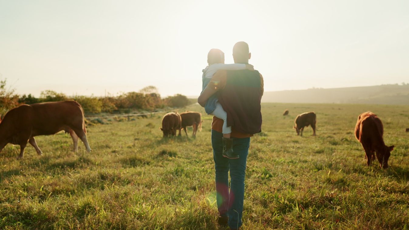 Family,,Farm,And,Cattle,With,A,Girl,And,Father,Walking