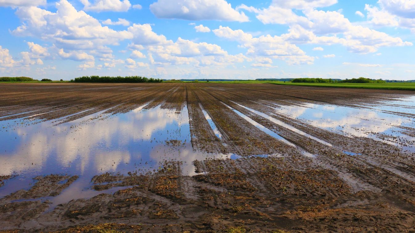Very,Wet,Agriculture,Clay,Field,With,Puddles,Of,Water,Due