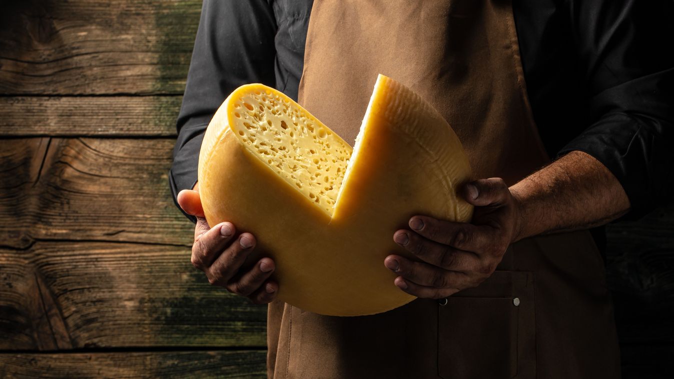Cheesemaker,Hold,Big,Slice,Of,Cheese,Maasdam,In,Hand.,Cheese