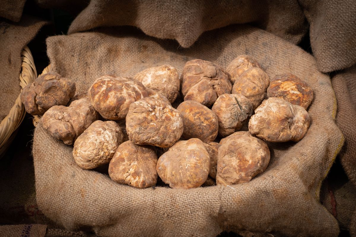 Truffle,,Pile,Of,Truffles,On,Farmers,Market