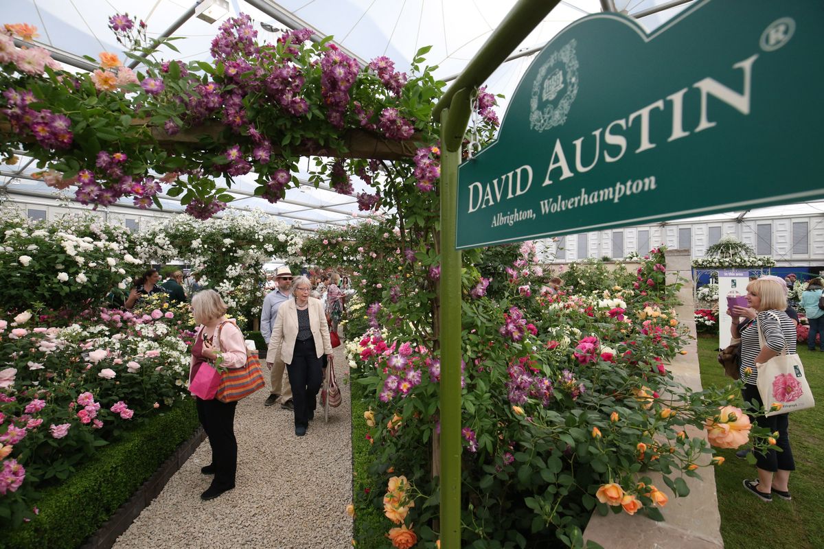 Chelsea Flower Show 2018