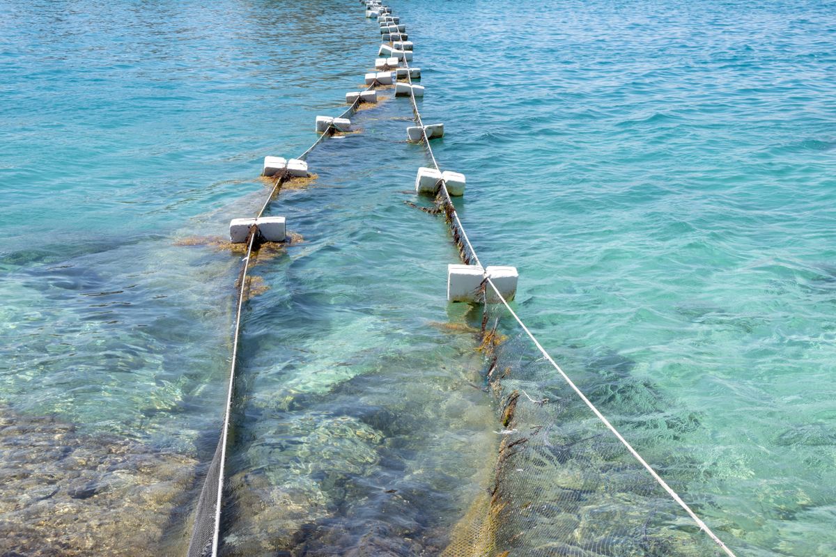 Fishing,Net,In,Two,Rows,Stretches,From,The,Shore,To