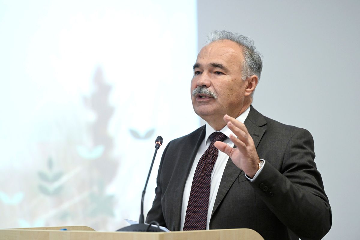 NAGY István, tanya
