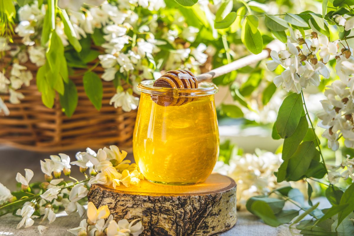 Sweet,Honey,Jar,Surrounded,Spring,Acacia,Blossoms.,Sunny,Light,,Shallow