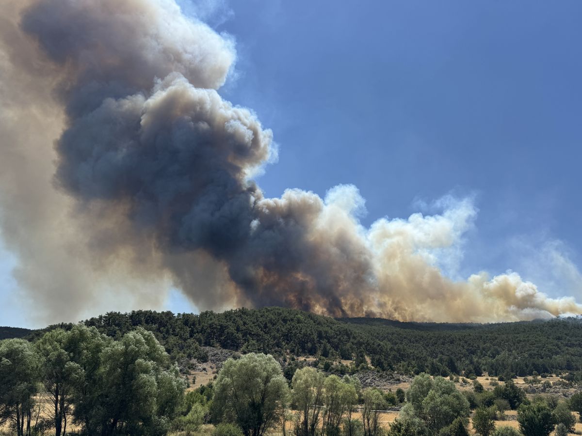 Firefighting efforts continue in the Turkiye's Eskisehir       