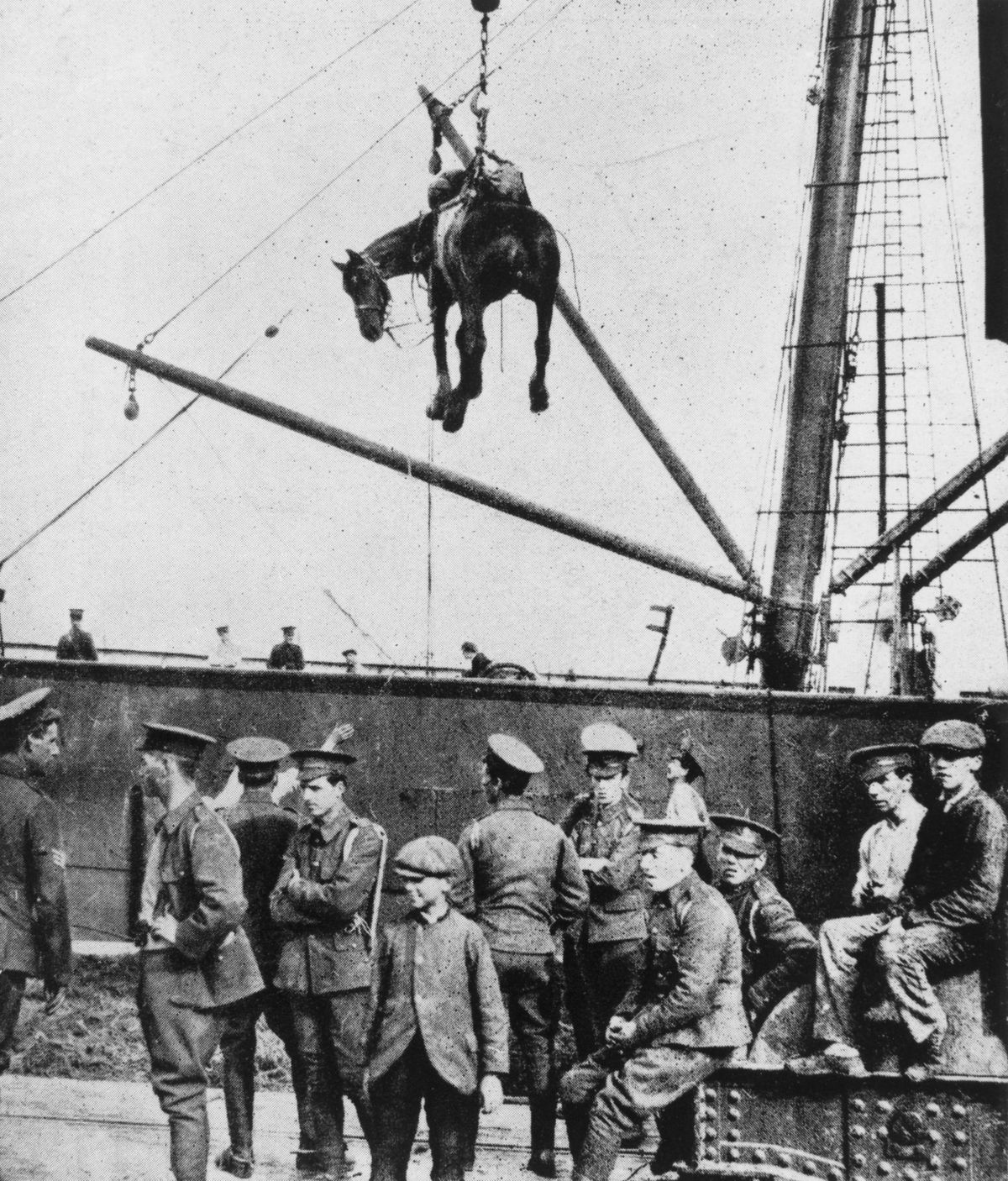 War Horse Arrives In France