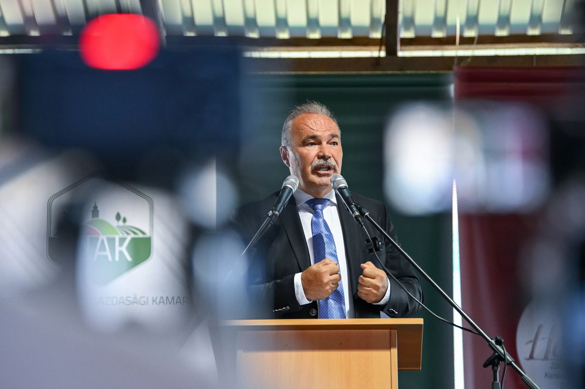NAGY István, aranyszínű sárgaság