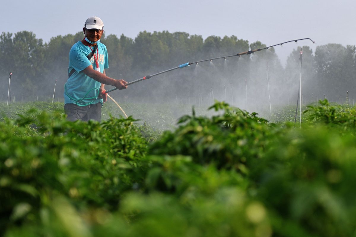 Beginning of Autumn Agriculture