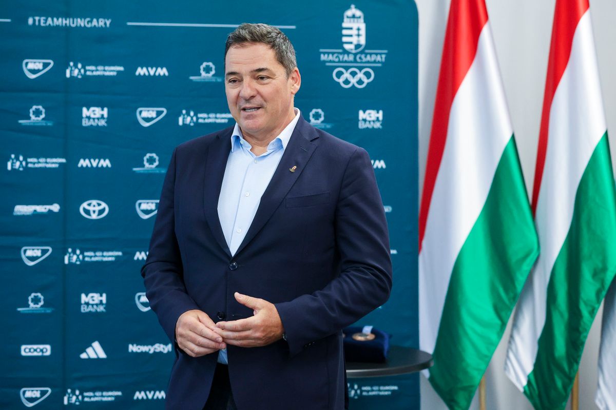 Gyulay Zsolt, Magyar Olimpiai Bizottság 