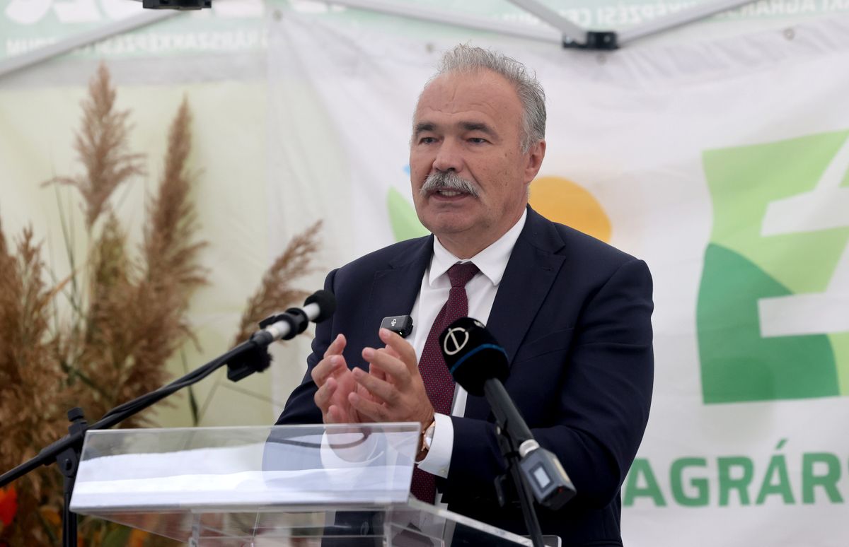 NAGY István