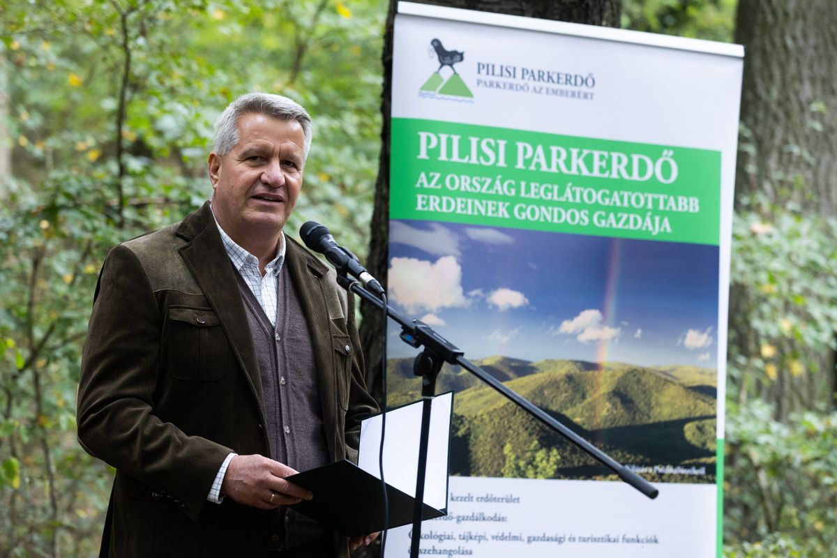 REINITZ Gábor