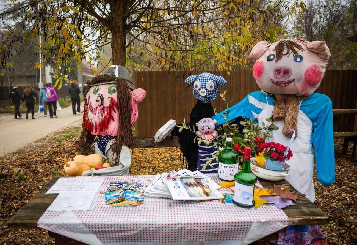 Malacos installáció-03