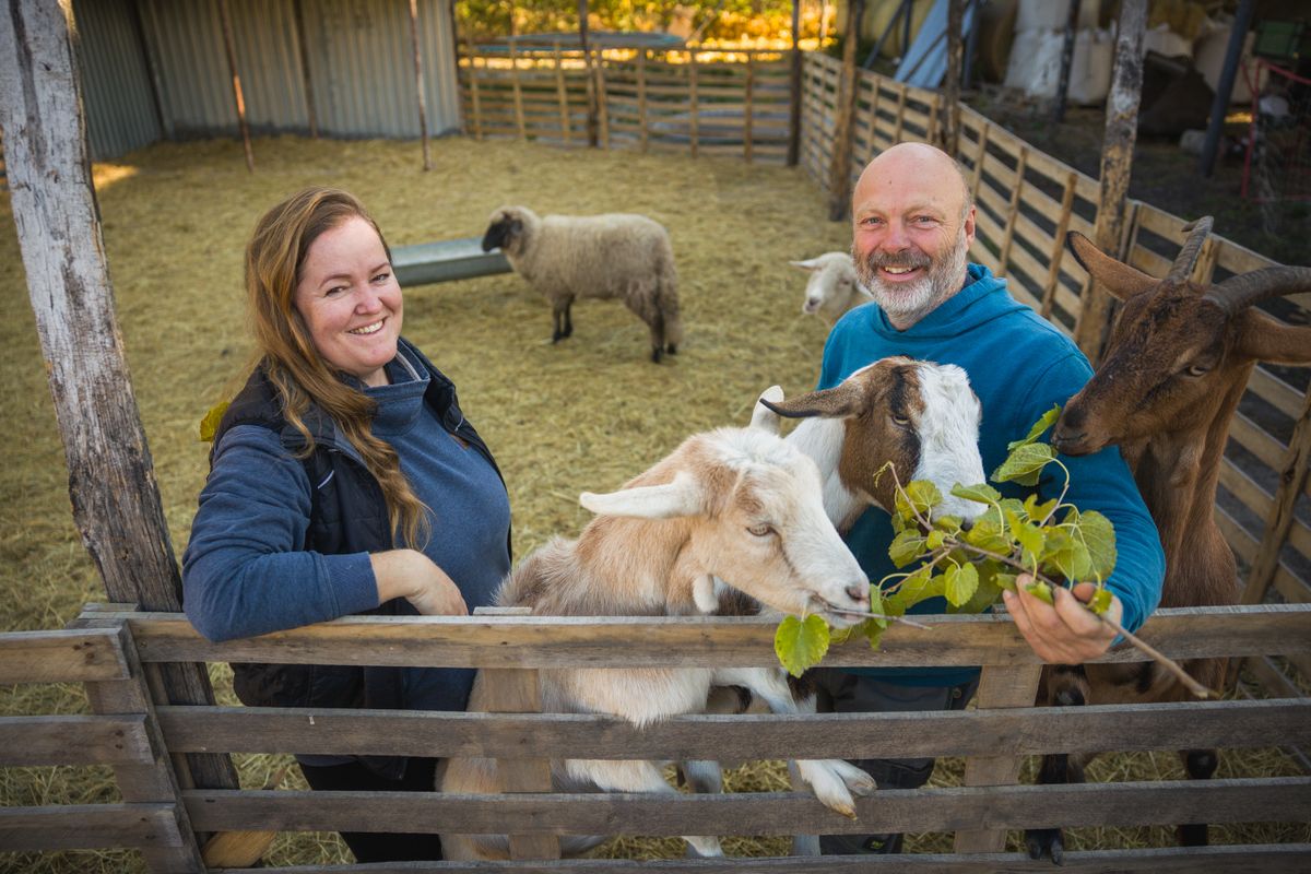 Brosius-Szomor Dóra és Boris-04