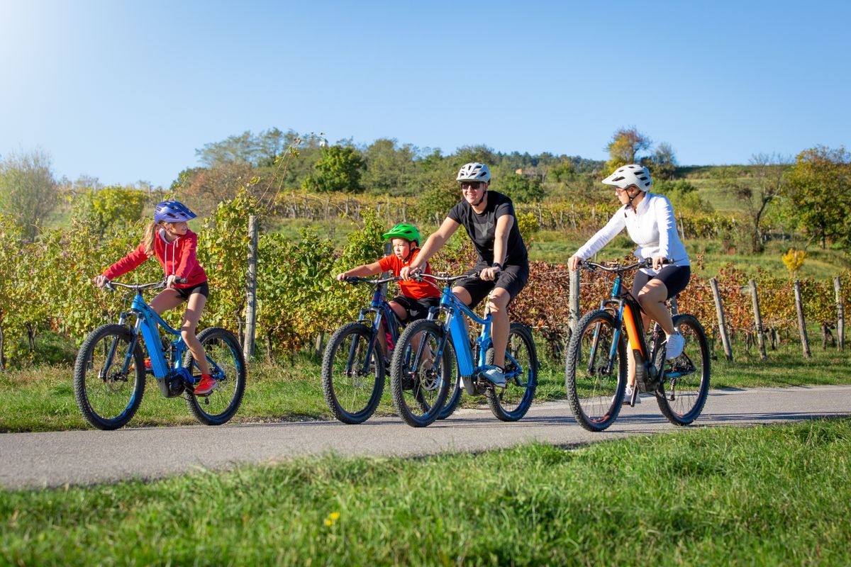 Family,Of,Four,Riding,E-bikes,In,Beautiful,Nature,In,Autumn