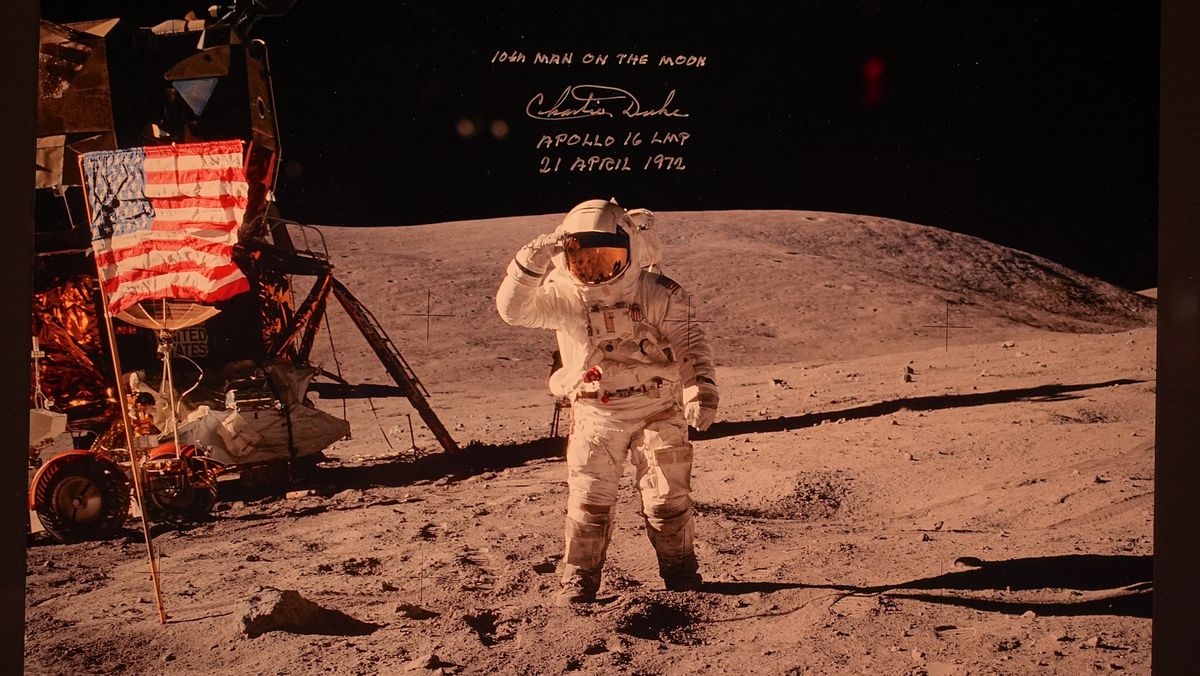 Rare juvenile Ceratosaurus skeleton and the largest Martian meteorite are on view for the first time