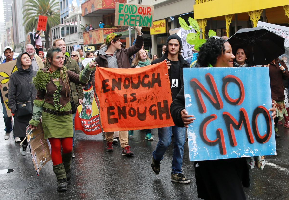 Anti-GMO Protest in South Africa