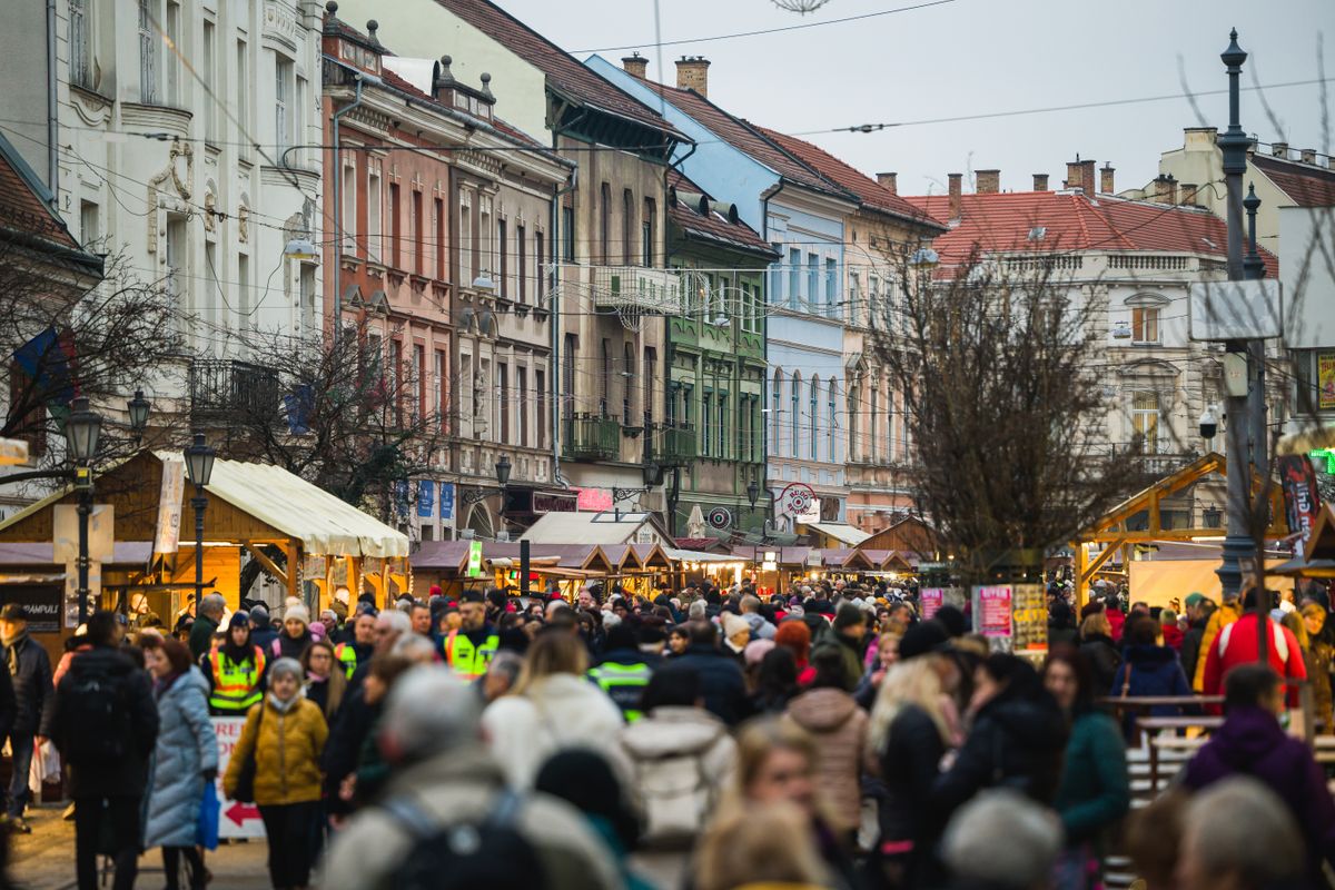 Kocsonyafesztivál-08