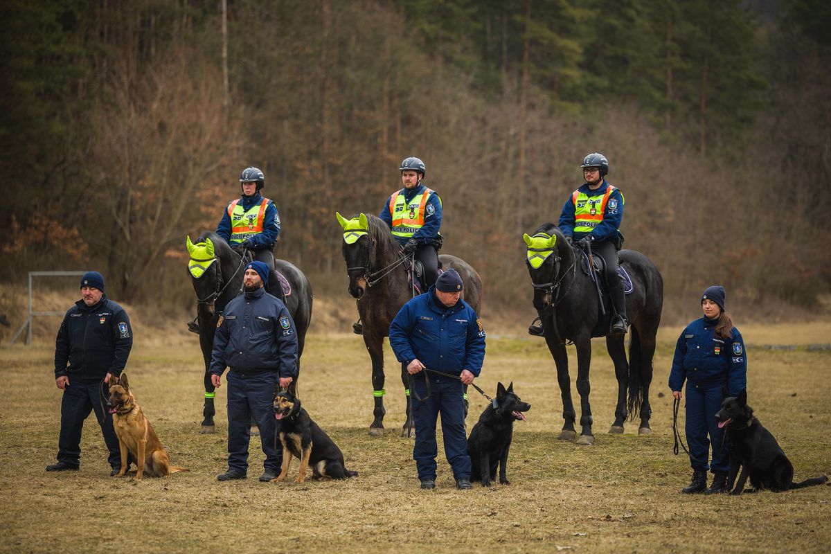 Kutyák és lovak közösen-10