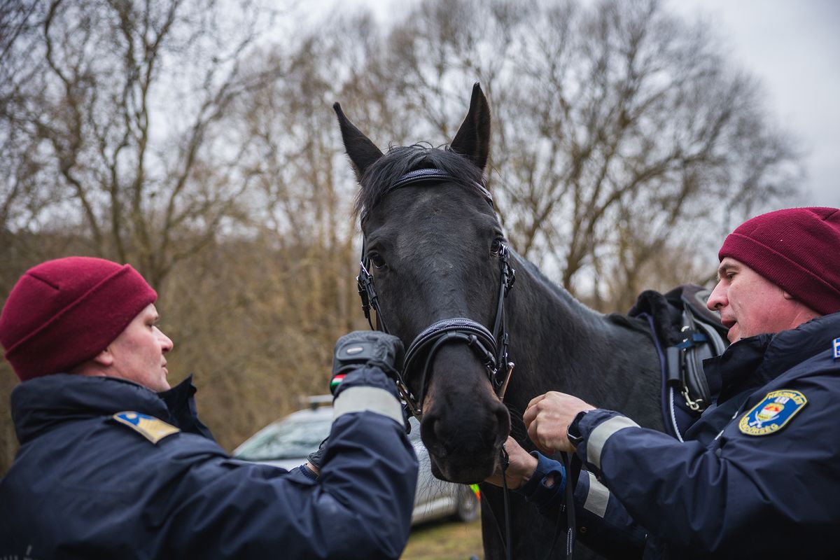 Lovasrendőrök kiképzés-04