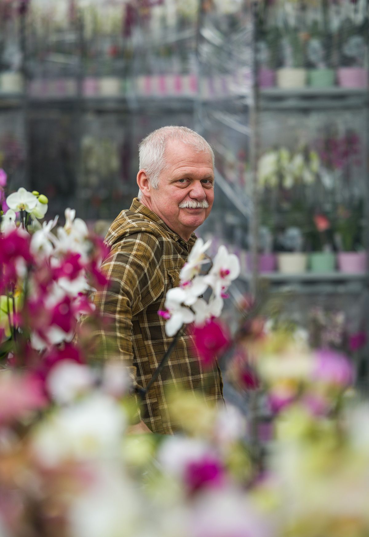 Molnár István ügyvezető igazgató-02