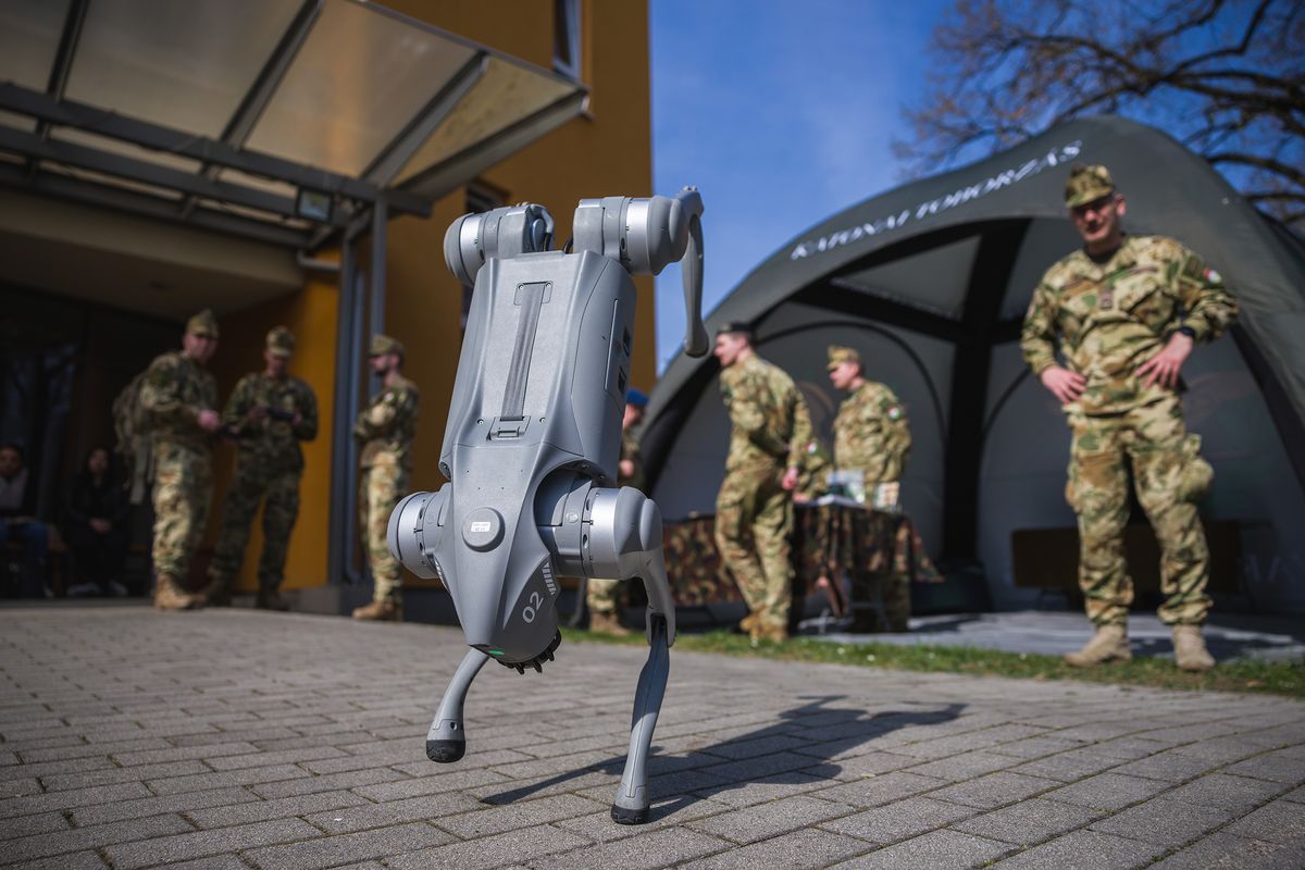 Robotkutya verseny-01