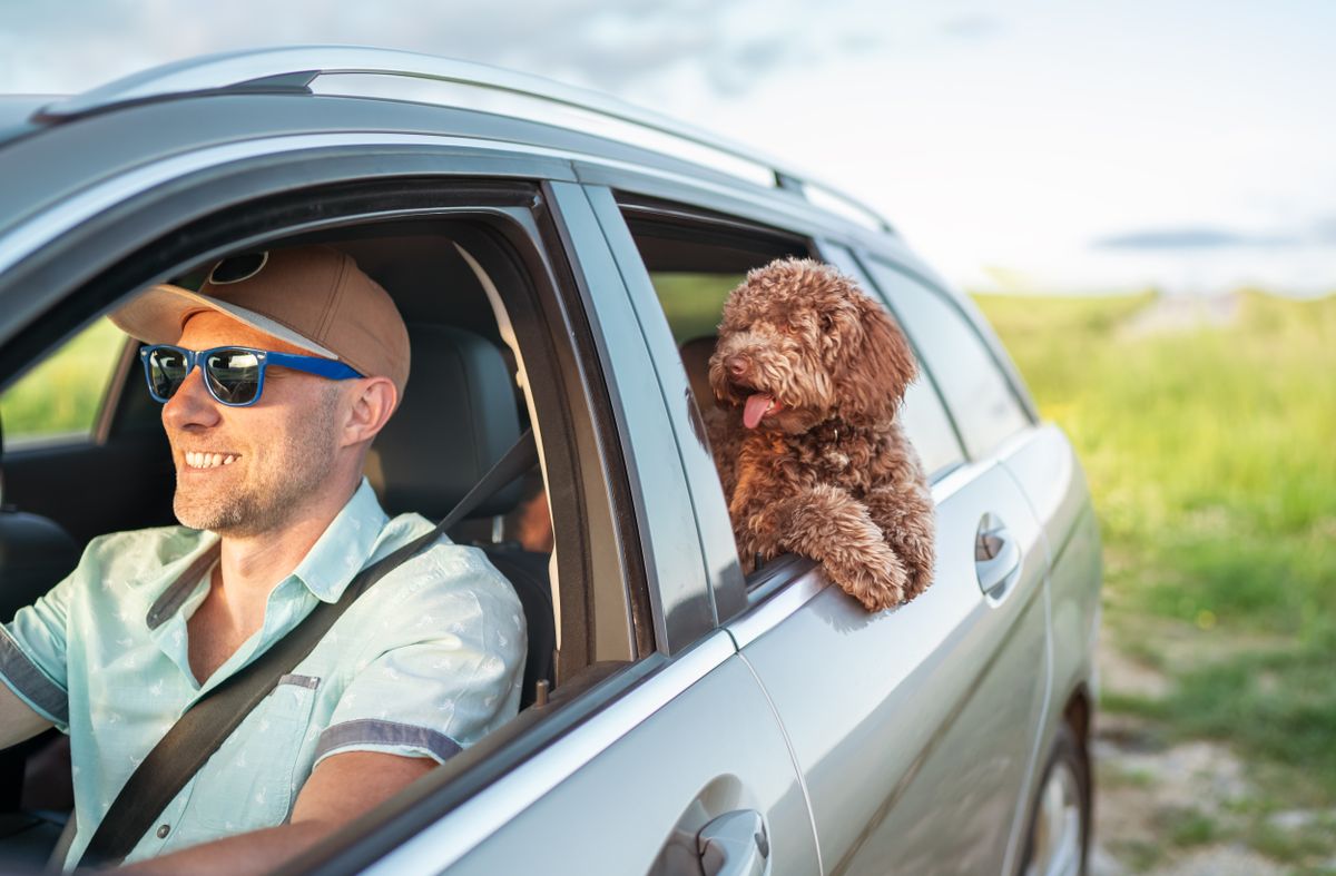 Man,In,Fancy,Sunglasses,Enjoys,Car,Driving,With,His,Happy,