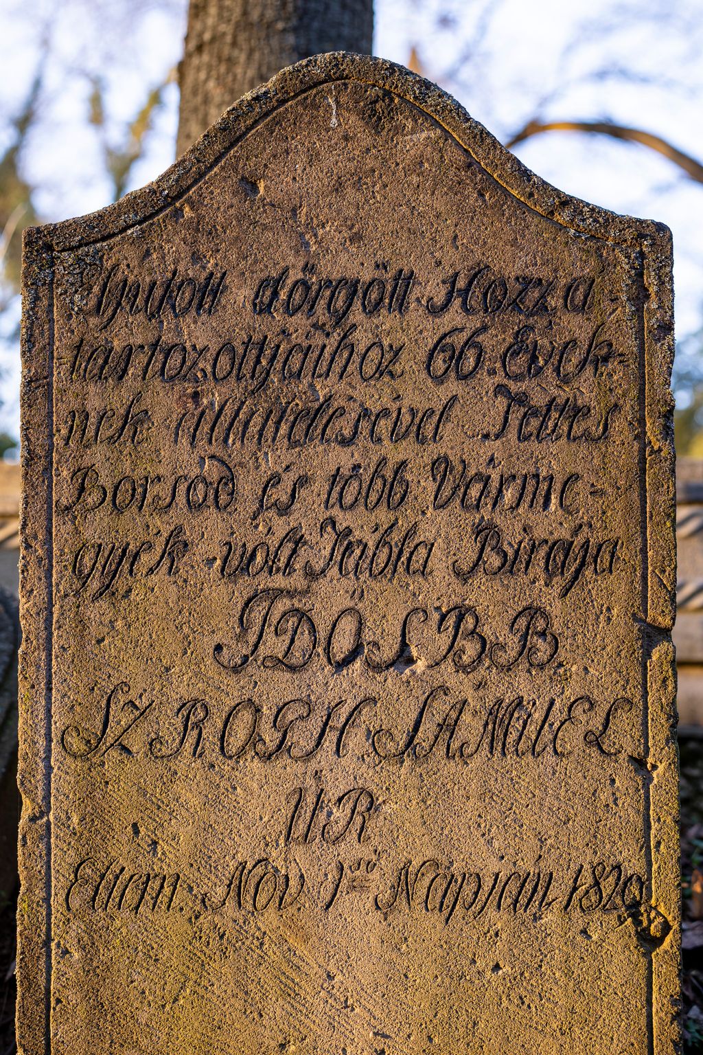 20260306  Miskolc Régi református temető riport a turisztikai újdonságokról és fellendülésről Fotó: Kállai Márton KM